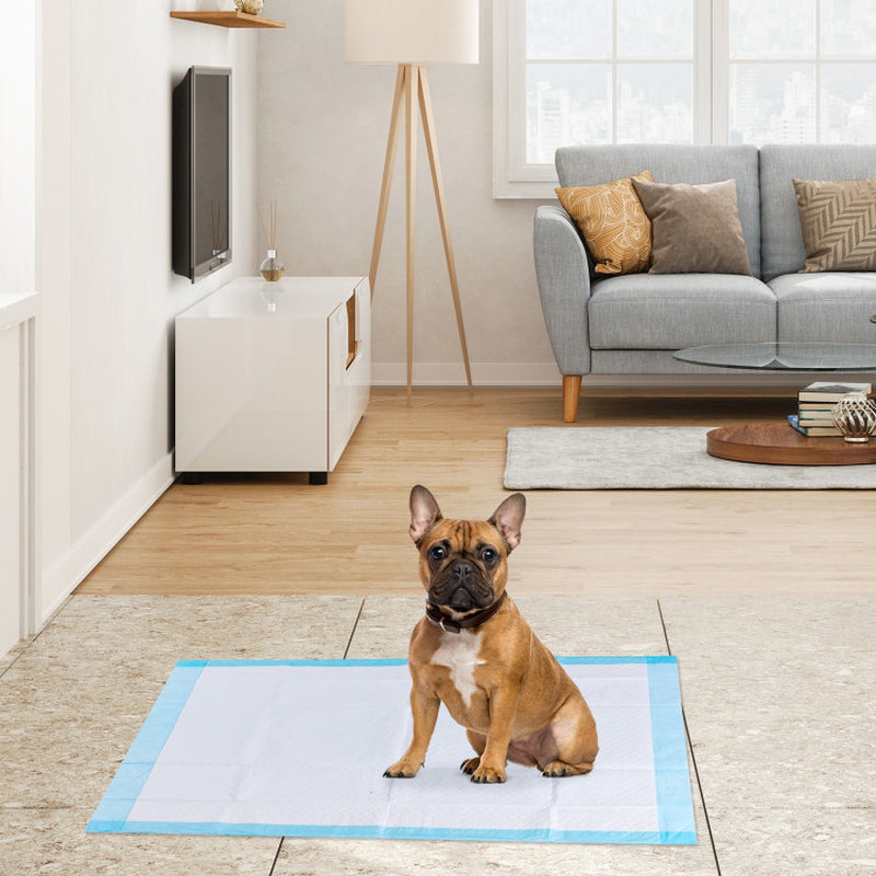 150 Pieces 24 X 36/30 X 30 Inch Pet Wee Pee Piddle Pad