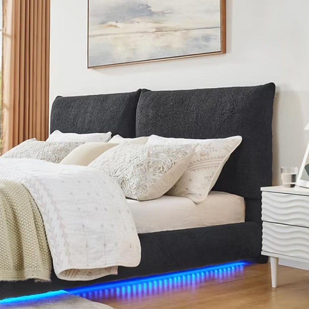 Zima Teddy Bed