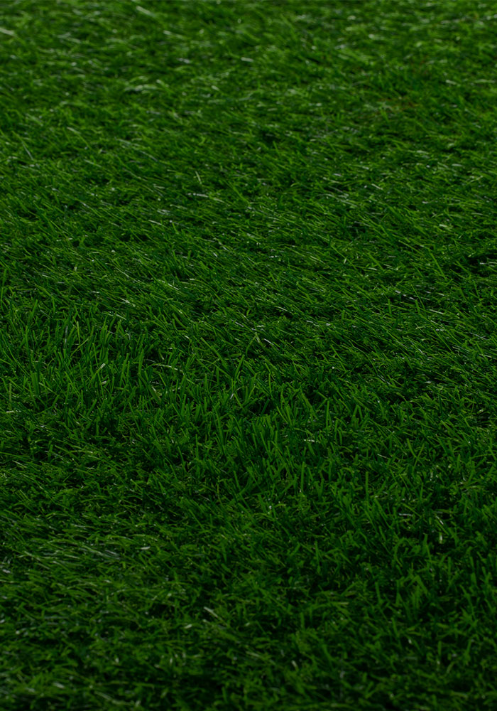 Green Field Artificial Grass Rugs 6x