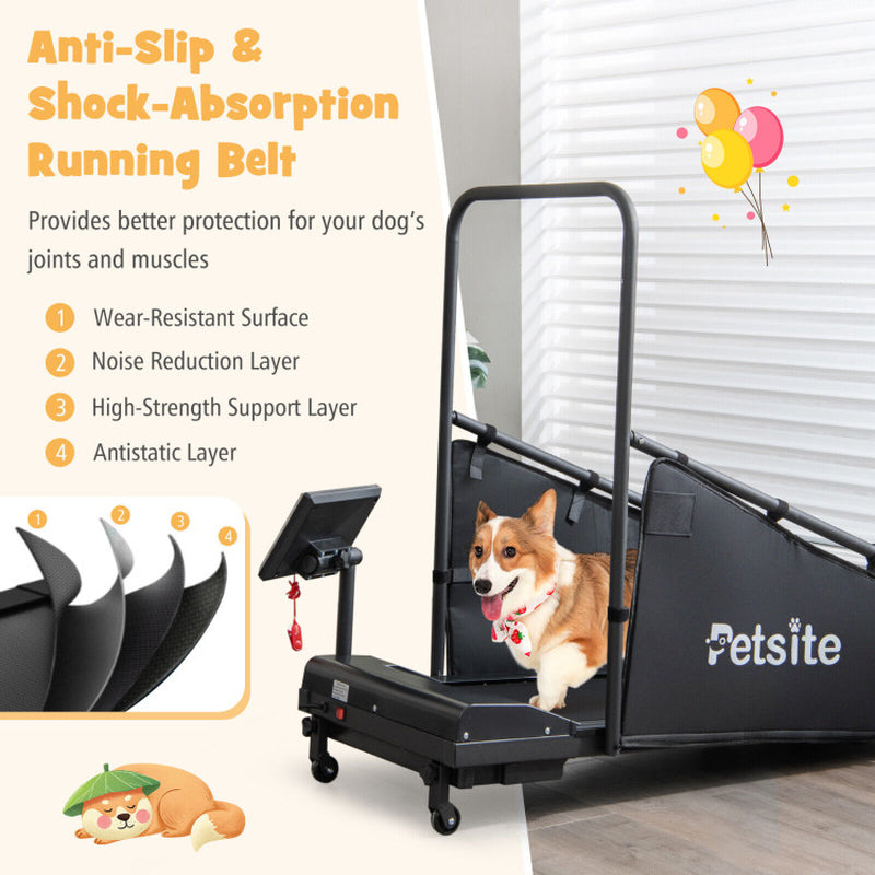 Indoor Pet Exercise Equipment with Remote Control